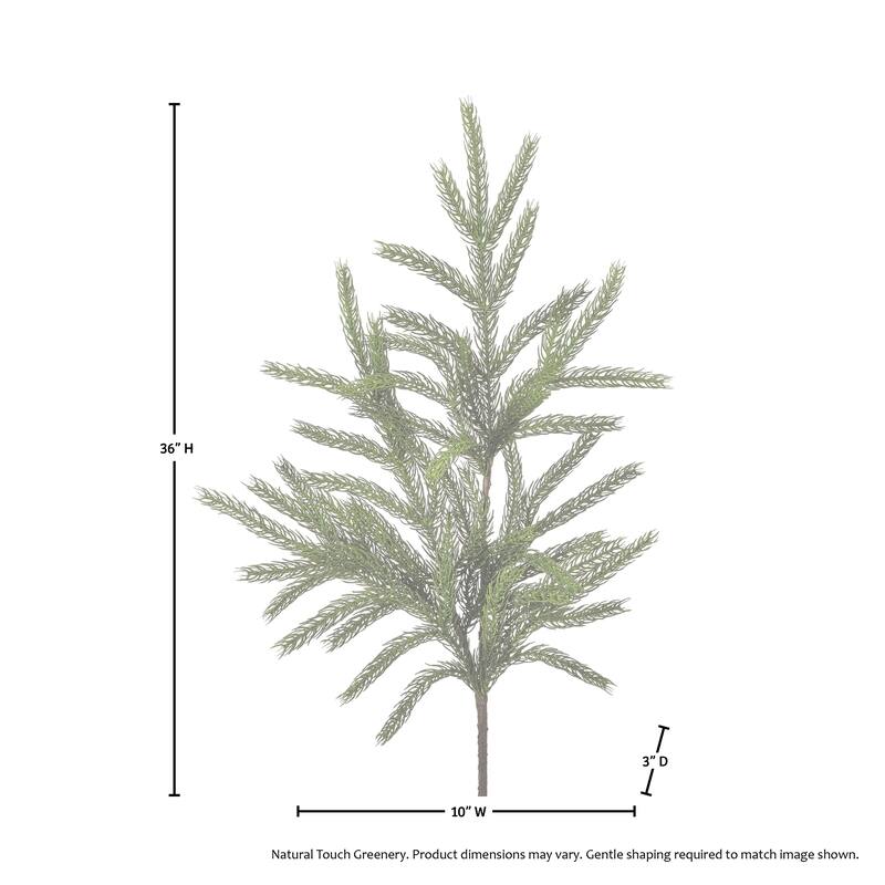 36" Real Touch Forest Norfolk Pine Spray