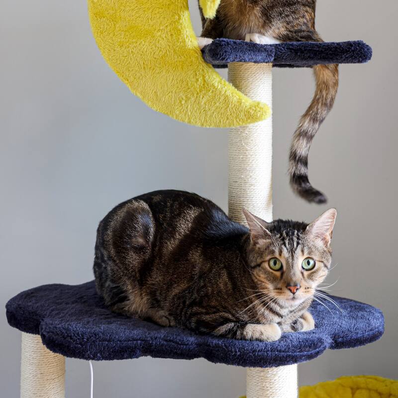 Aurora 49" 3-Tier Modern Sisal Moon And Stars Cat Tree with Scratching Posts, Basket, and Fuzzy Bell Toys, Navy/Yellow/White