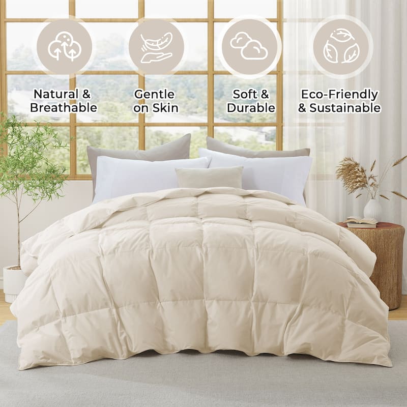 All Season 300TC Organic Cotton Down Comforter - 100% Natural, Chemical-Free, Medium Warmth Duvet Insert - Full - Queen - Off-white
