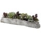 preview thumbnail 1 of 2, Uttermost Charita Lush Succulents