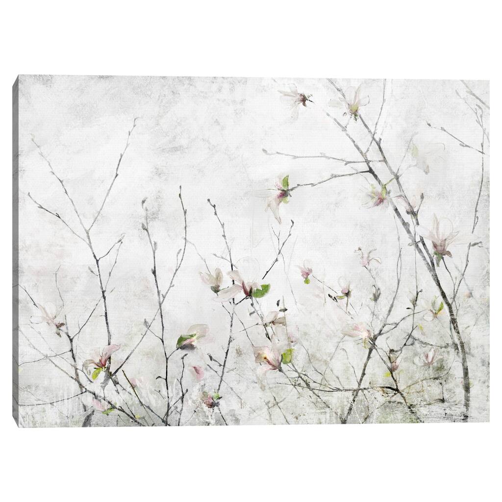 Magnolia Moment by Studio Arts Canvas Art Print