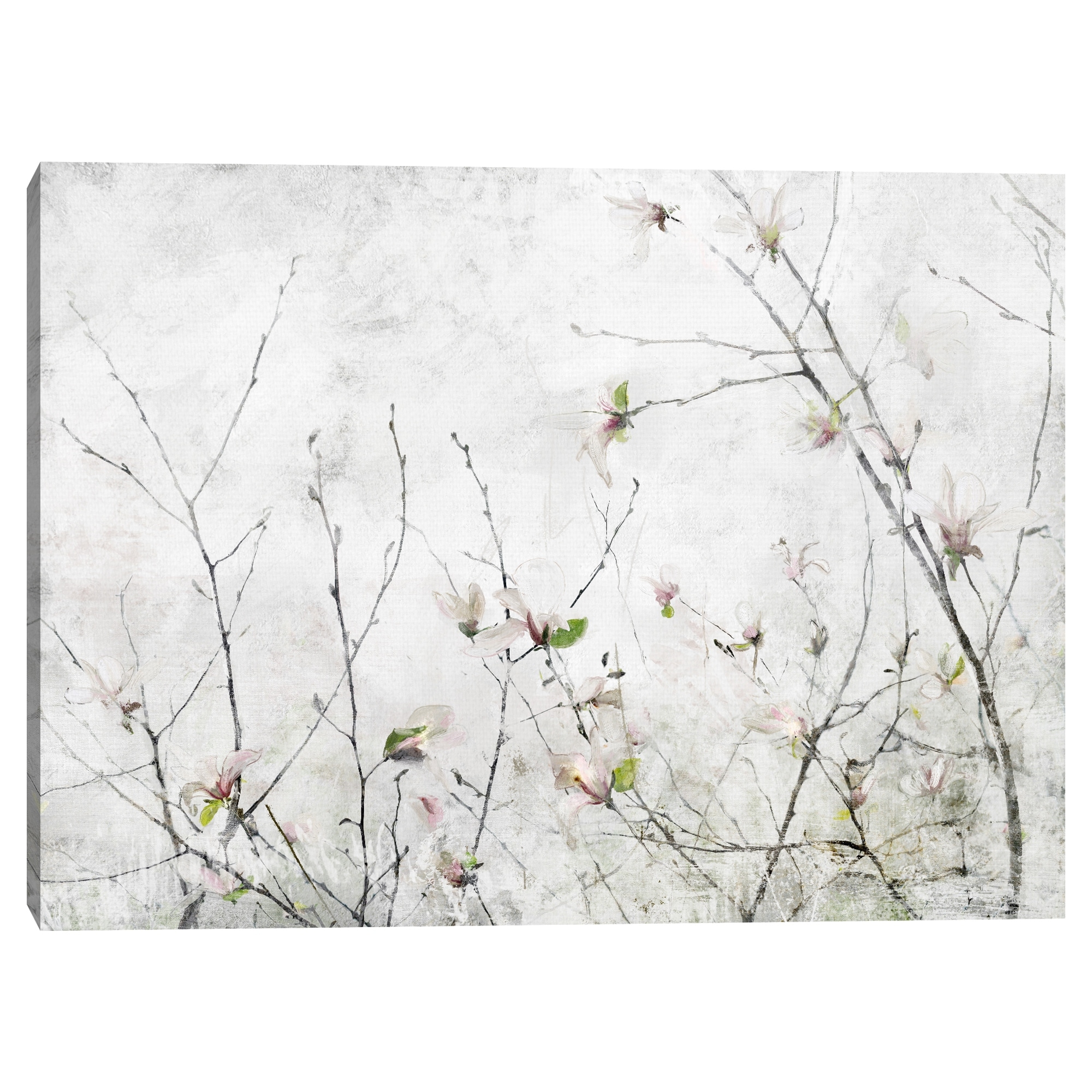 Magnolia Moment by Studio Arts Canvas Art Print
