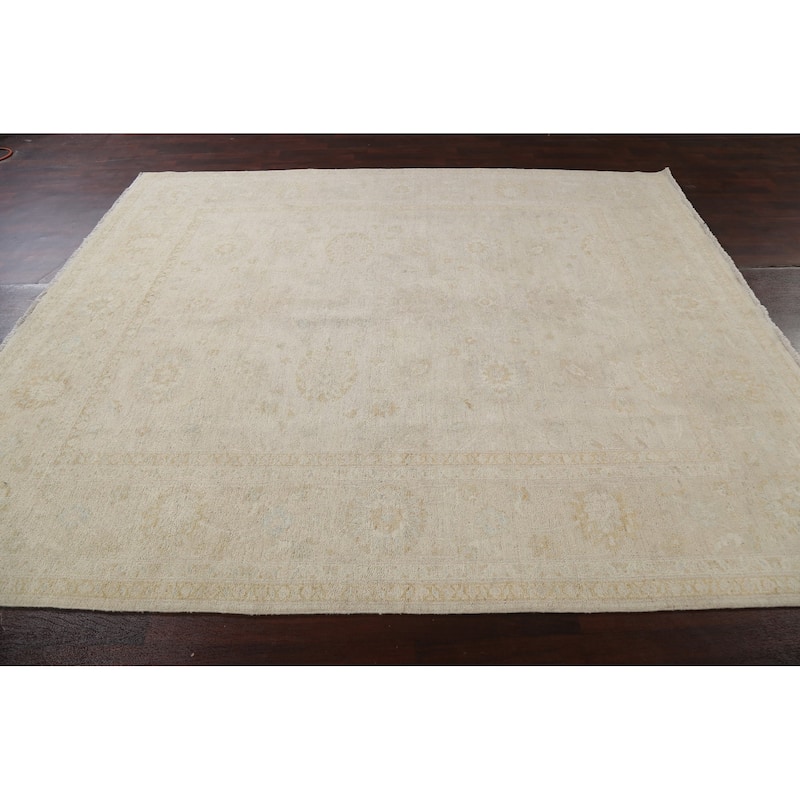 Vegetable Dye Wool Traditional Peshawar Chobi Area Rug Hand-knotted - 7'9" x 9'3"
