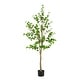preview thumbnail 3 of 7, Christopher Knight Home - Harry Artificial Enkianthus Tree with Black Plastic Pot