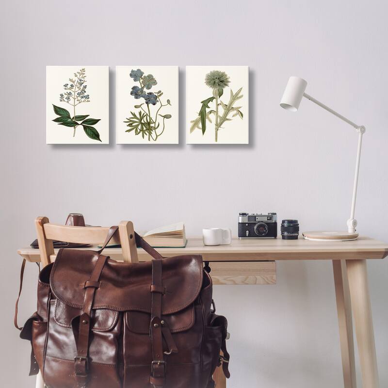 Stupell Vintage Blue Botanical Flowers on Beige, 3pc Multi Piece Canvas Wall Art Set