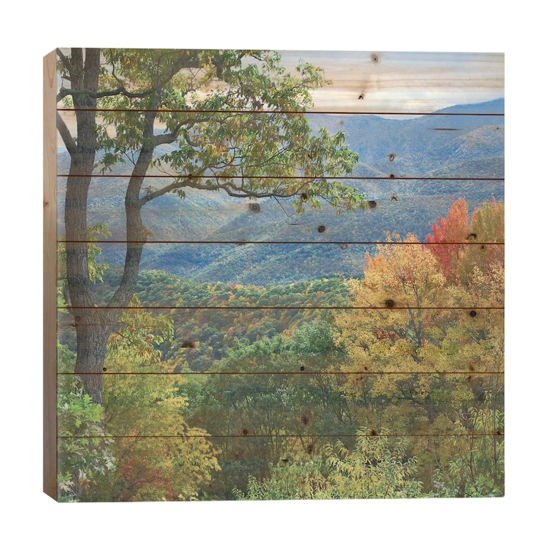 Deciduous Forest In Autumn, Blue Ridge Parkway, North Carolina Print On Wood by Tim Fitzharris - Multi-Color - 26x26x1.5