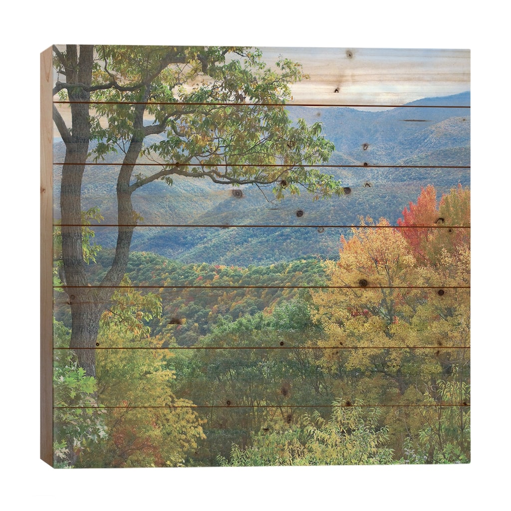 Deciduous Forest In Autumn, Blue Ridge Parkway, North Carolina Print On Wood by Tim Fitzharris - Multi-Color