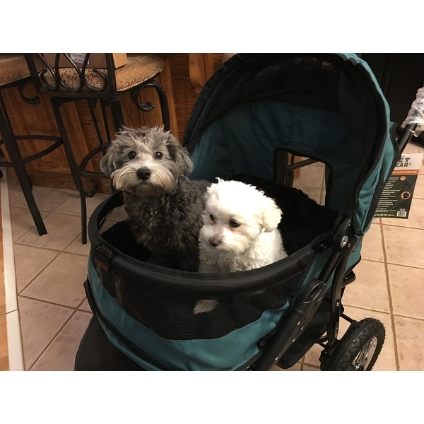 pet gear double dog stroller