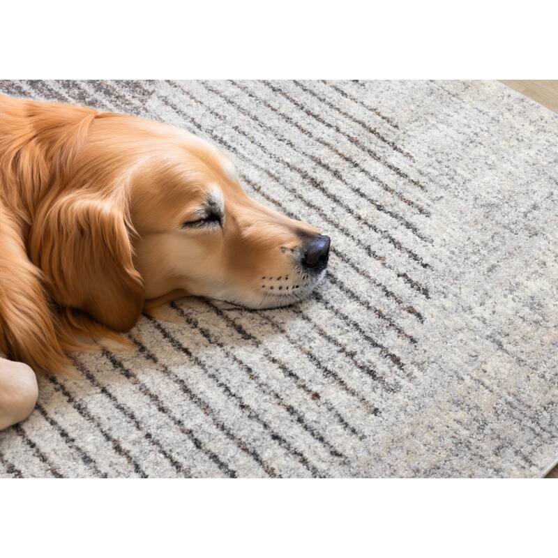 Solace Collection - Soft Low-Pile Grey White Merging Circles Area Rug