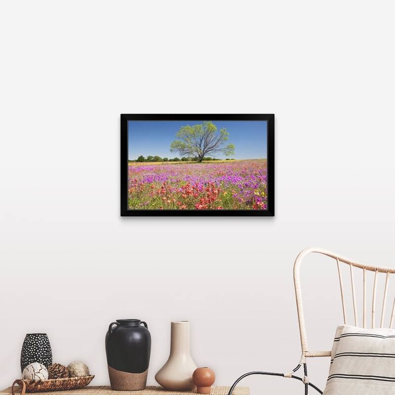 "Spring mesquite trees growing in wildflowers, Texas, USA, North America" Black Framed Print - 30 x 20