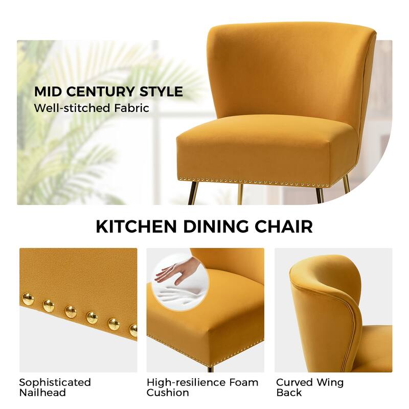 Celtia Modern Velvet Accent Side Chair with Nailhead Trim by HULALA HOME