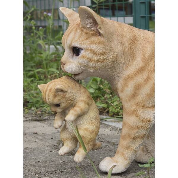Shop 16 75 Orange And White Tabby Mother Cat Carrying Kitten