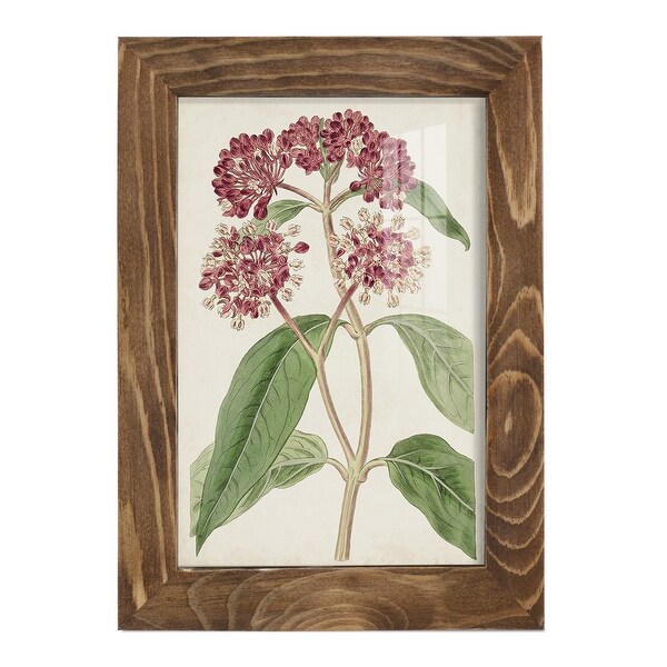 botanical☆ Vintage Botanical Sketch IV -2 Piece Set - Silver Frame - On