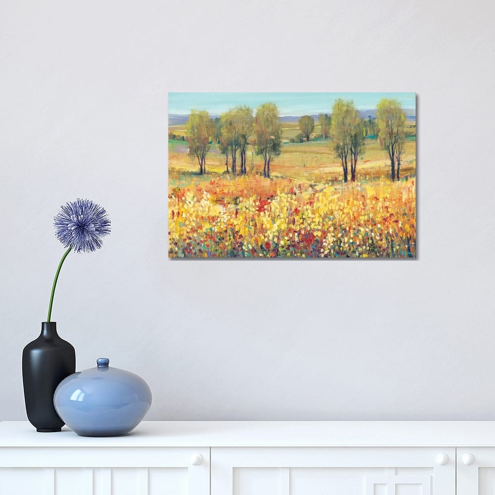 iCanvas "Golden Fields I" by Tim OToole Canvas Print
