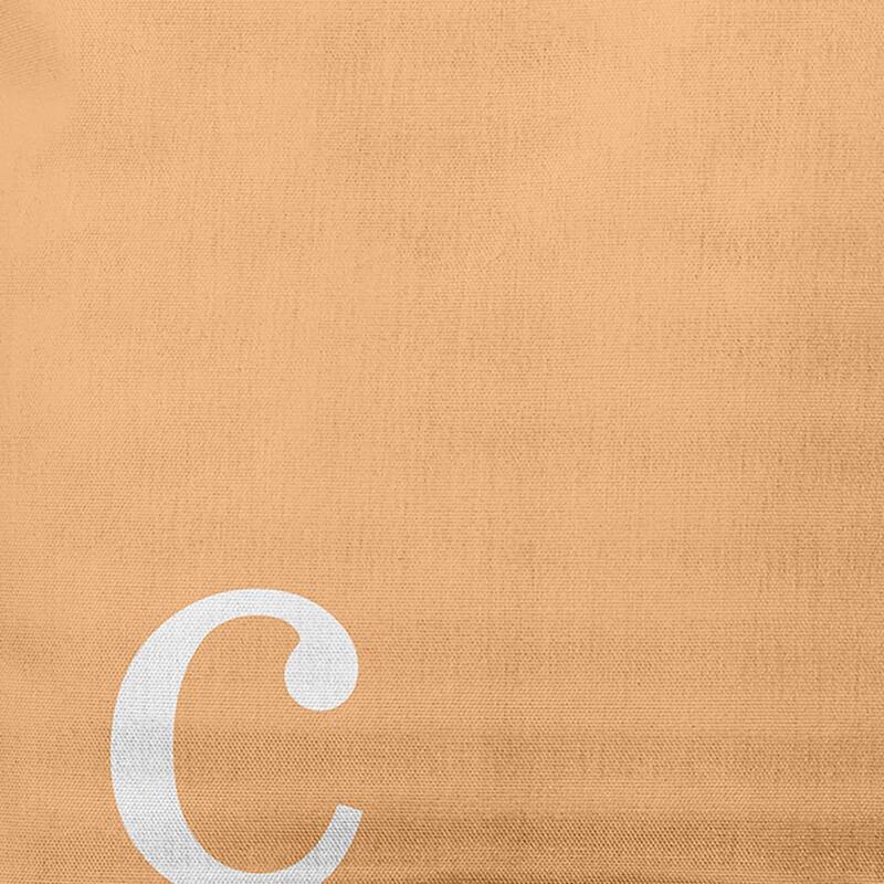 Modern Monogram Decorative Throw Pillow
