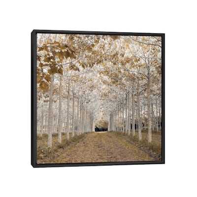 iCanvas "White Gold" by Assaf Frank Framed Canvas Print