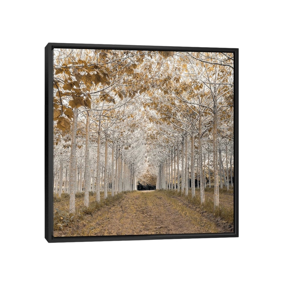 iCanvas "White Gold" by Assaf Frank Framed Canvas Print