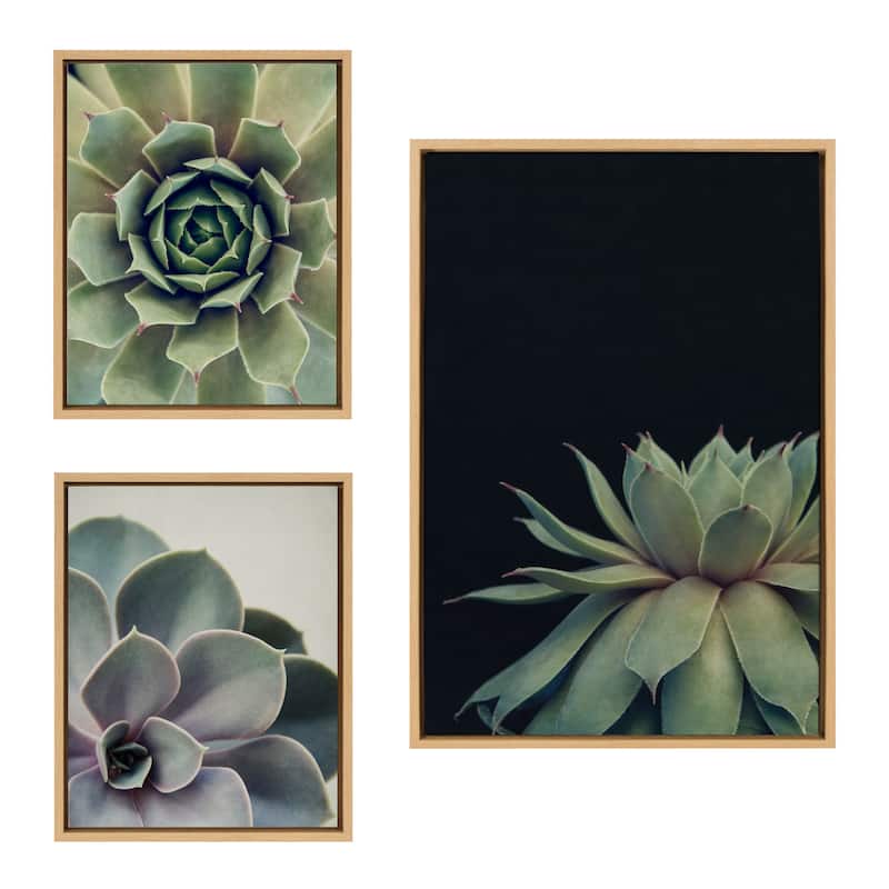 Kate and Laurel Sylvie Succulent Canvas Set by Emiko and Mark Franzen - 3 Piece - Plastic - Natural