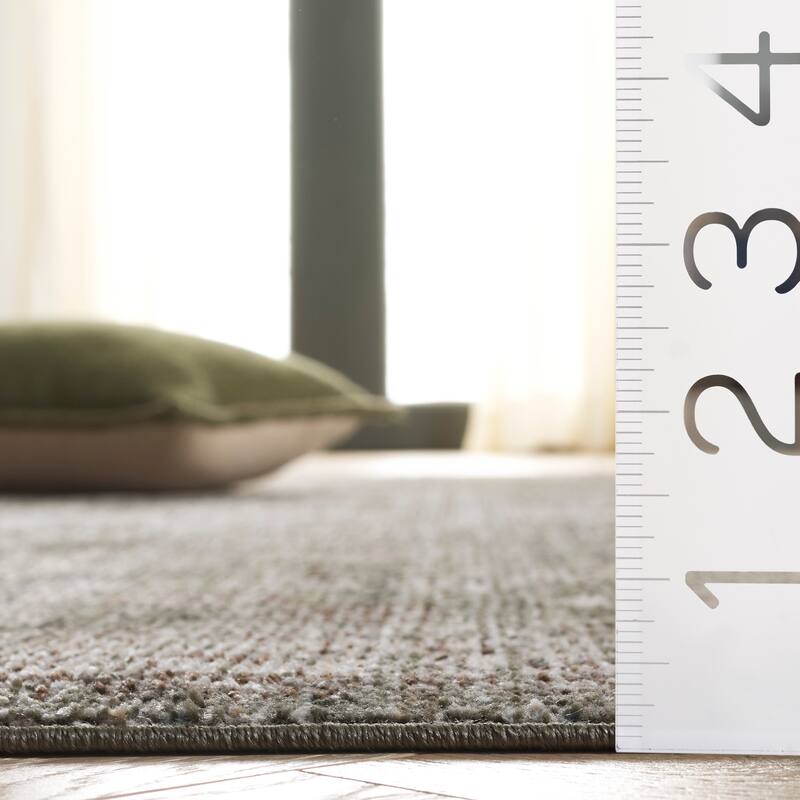 SAFAVIEH Hazel Zenovica Traditional Medallion Rug