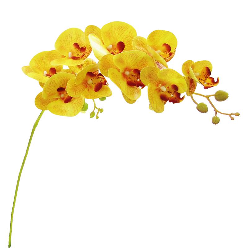 Set of 2 Natural Touch Artificial Phalaenopsis Orchid Flower Stem Tropical Spray 38.5in