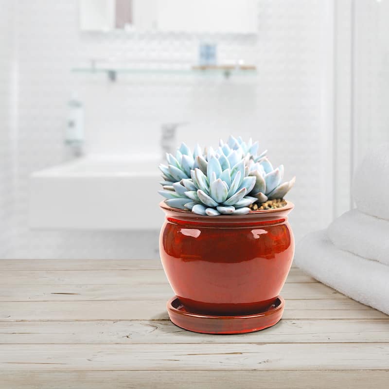Southern Patio Wisteria 8 Inch Diameter Ceramic Planter Pot with Saucer, Red - 4.41