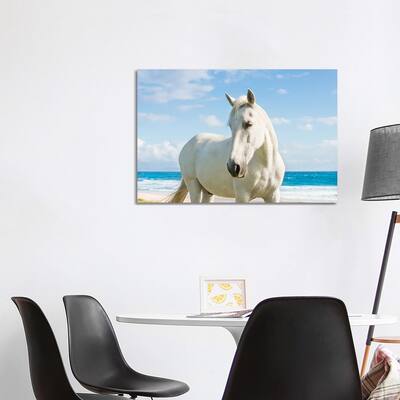iCanvas "Beach Horse" by Andrew Lever Canvas Print