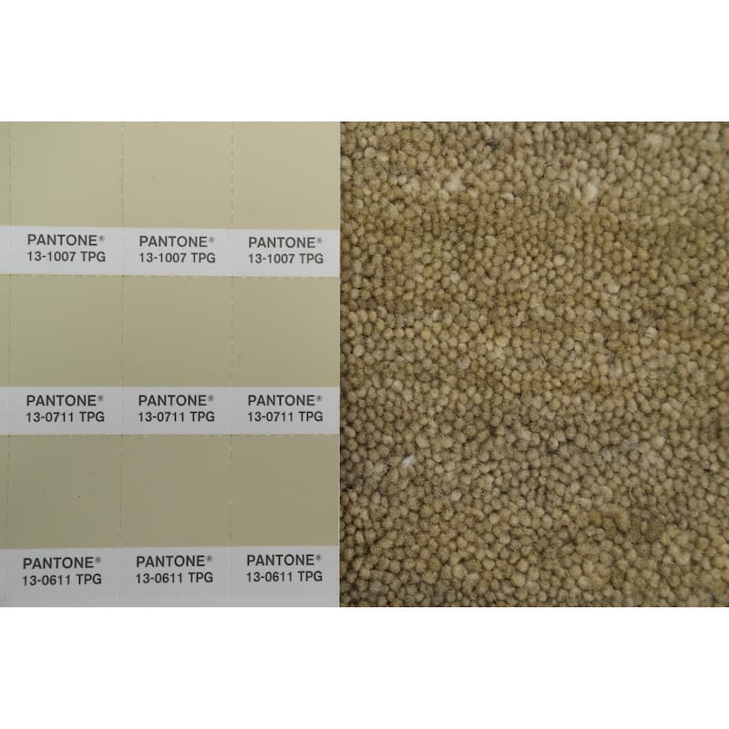 Hand Knotted Oriental 100% Wool Carpet Tribal Animal Pictorial Beige & Ivories Gabbeh Area Rug - 7' 11'' X 7' 10''