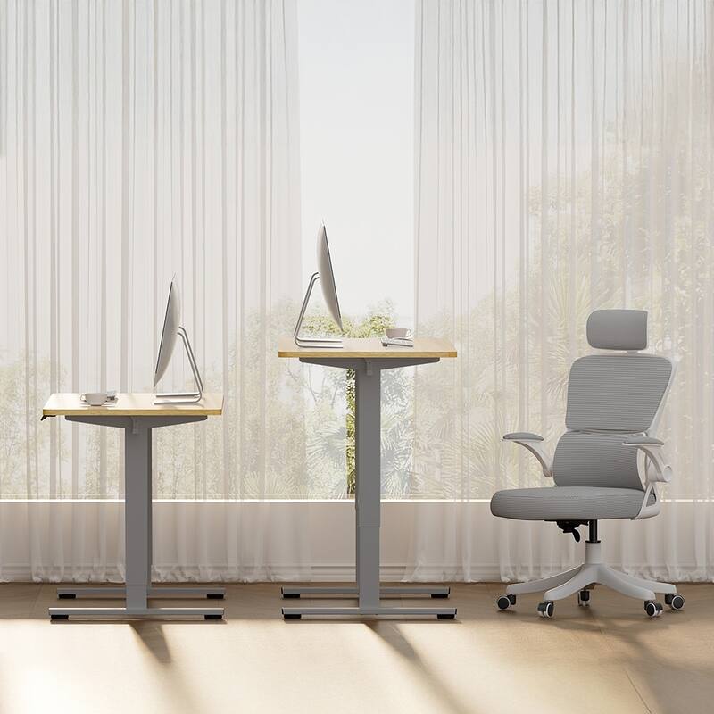 Electric Adjustable Standing Desk, 48x24 Home Office Workstation