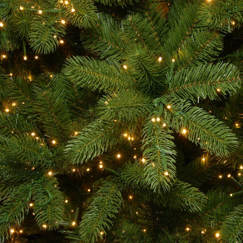 National Tree Company 7.5 ft. Downswept Douglas Fir Tree with Dual Color LED Cosmic Lights - 7.5 Foot