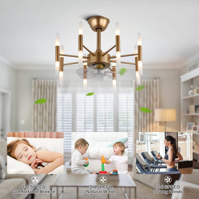 CurveCurio 24" Dark Gold Modern Ceiling Fan w 8 Lights, Chandelier Fan Light Quiet DC Motor 6 Speed Options w remote control