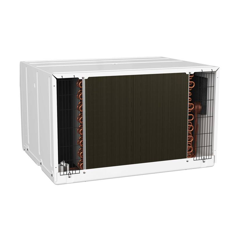 Durastar DRTAC101XNA1SLV 10,000 BTU 115V Through the Wall Air