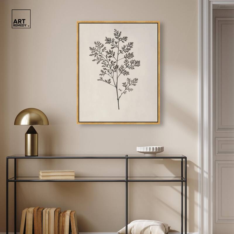 Aniseed Anatomy II Canvas Delicate Floral by Art Remedy