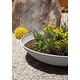 preview thumbnail 25 of 110, Mason Series Lane Bowl Planter