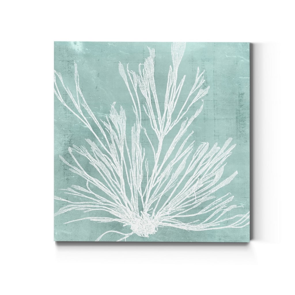 Seaweed on Aqua IX -Premium Gallery Wrapped Canvas