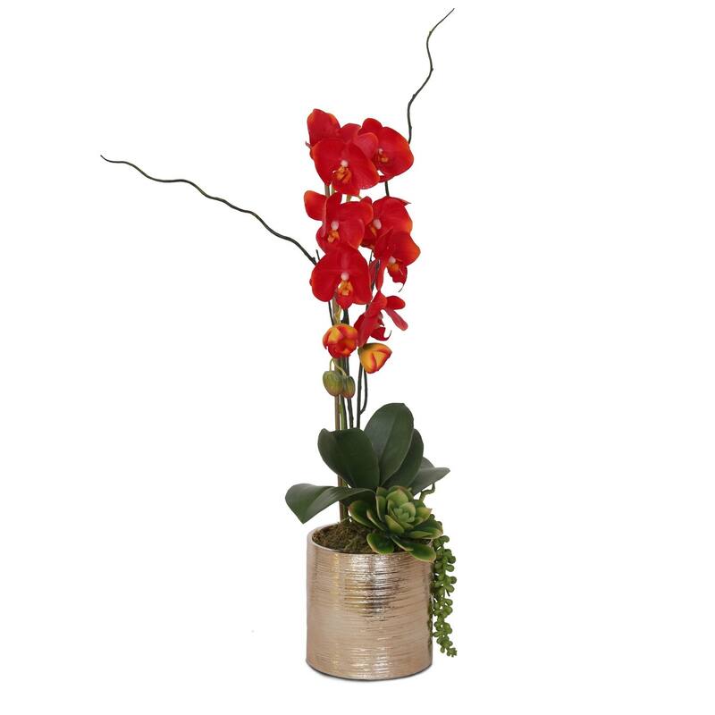 Real Touch Red Orchid Succulent Flower Arrangement in Round Gold Pot - 11W x 6D x 17H