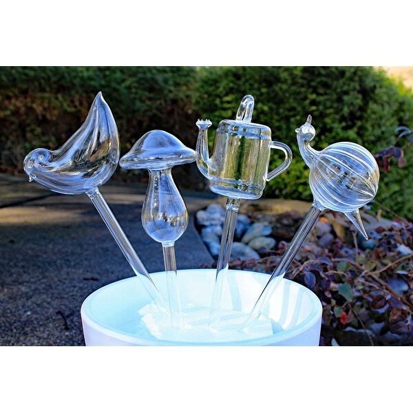 Hand Blown Glass Self Watering Aqua Globes in Different Shapes