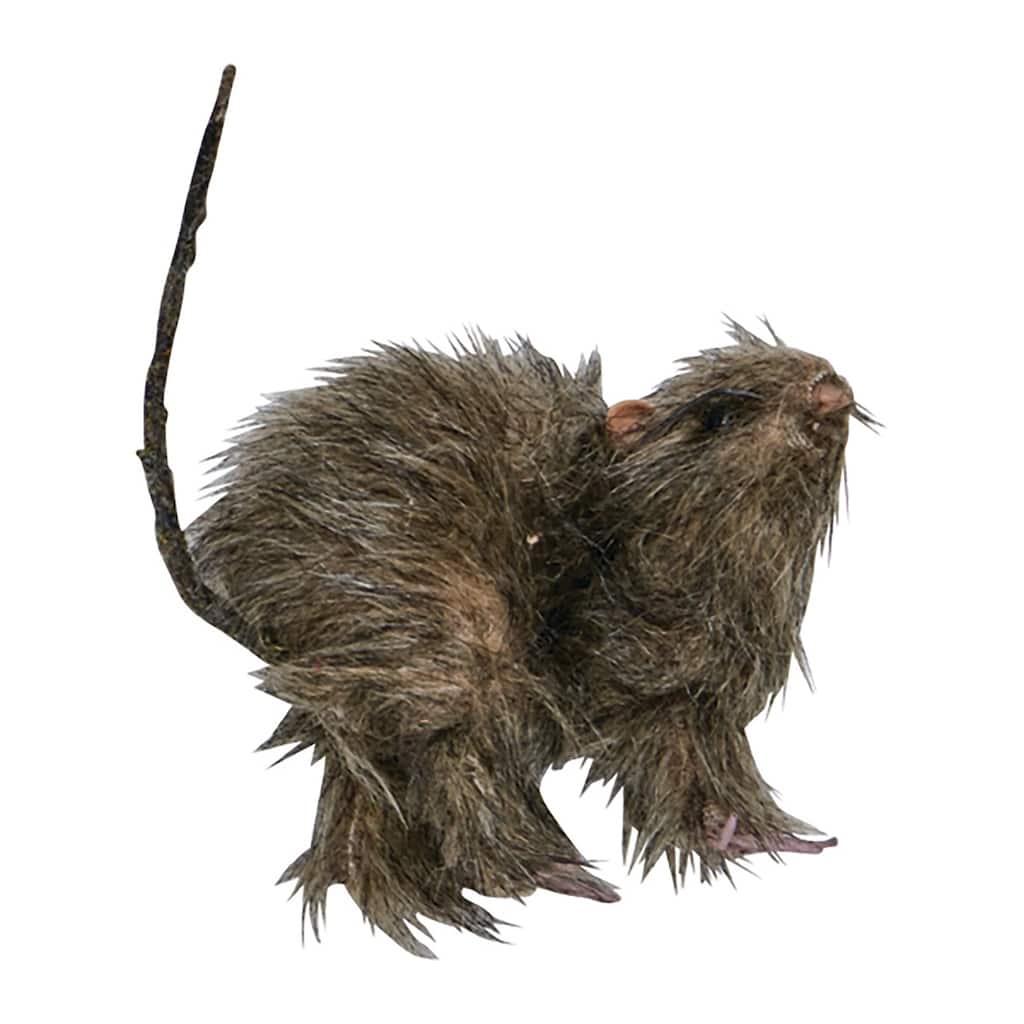 5" Small Furry Rat, Set of 2