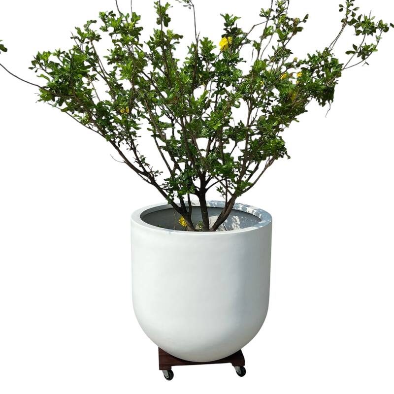 DreamPatio Acacia Plant Caddy (Pack of 2)