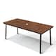 Option Walnut