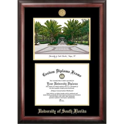 University of South Florida 11w x 8.5h Gold Embossed Diploma Frame with Campus Images Lithograph