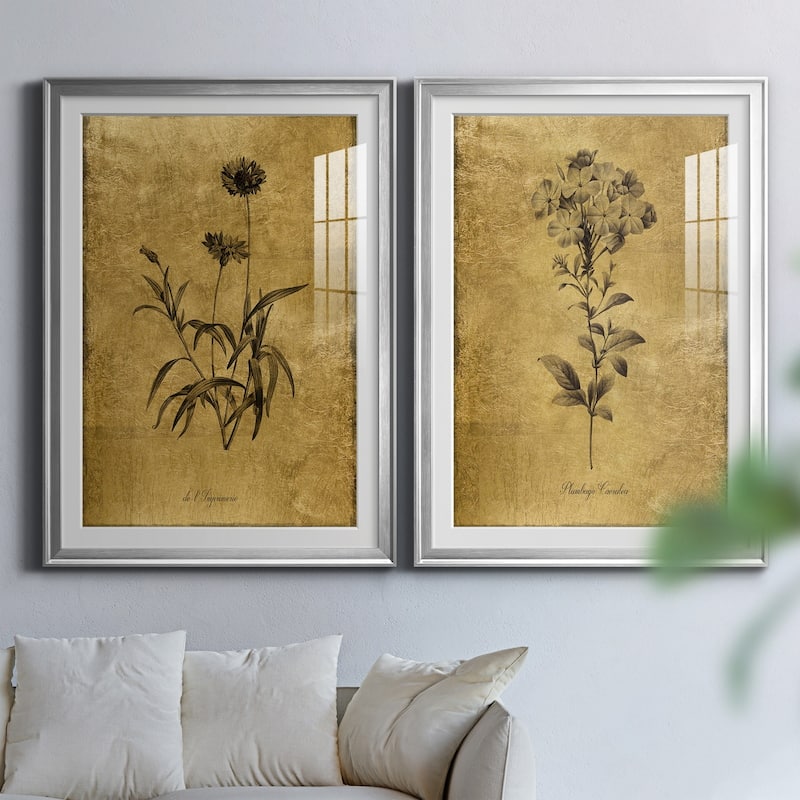 Gold Sketch Botanical I Premium Framed Print - Ready to Hang