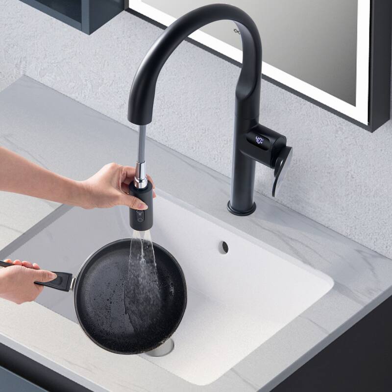18''H 3-mode Temperature Display Kitchen Faucet with Pull Sown Sprayer in Black/Gold