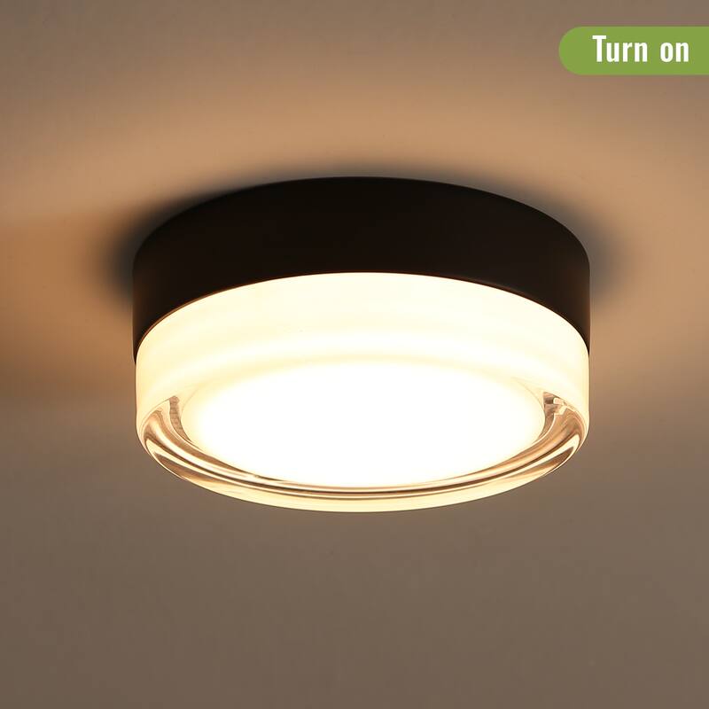 Small Size Flush Mount Ceiling Light 24W Glass Lampshade