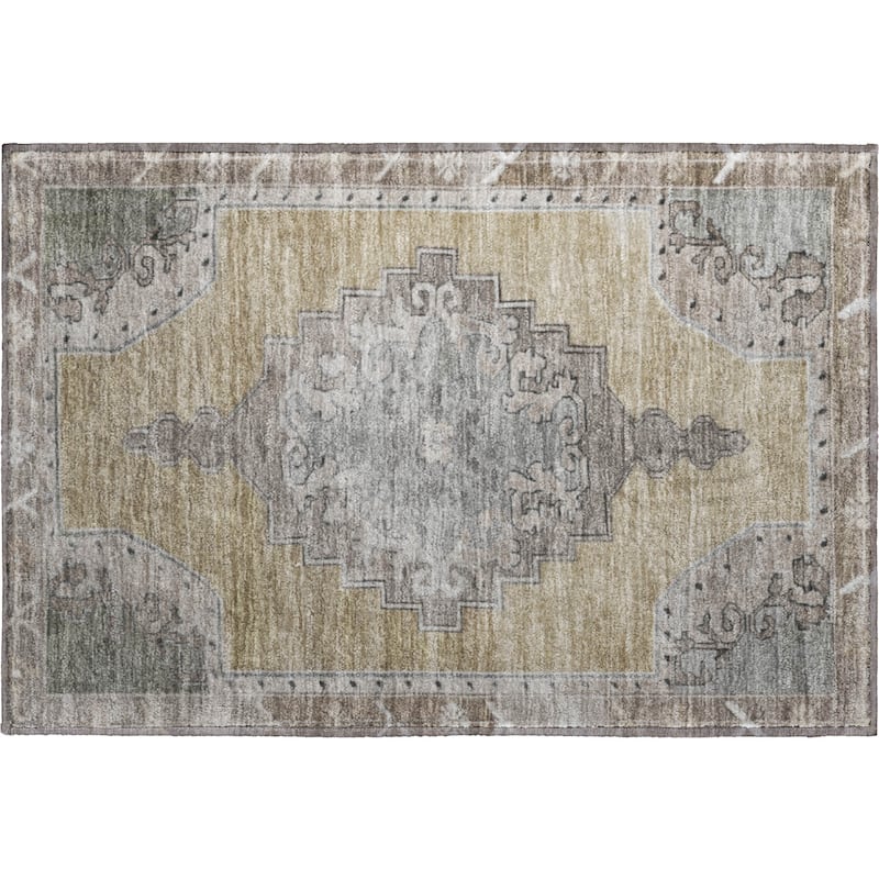 Premium Washable Super Soft Vintage Traditional Mayfield Rug
