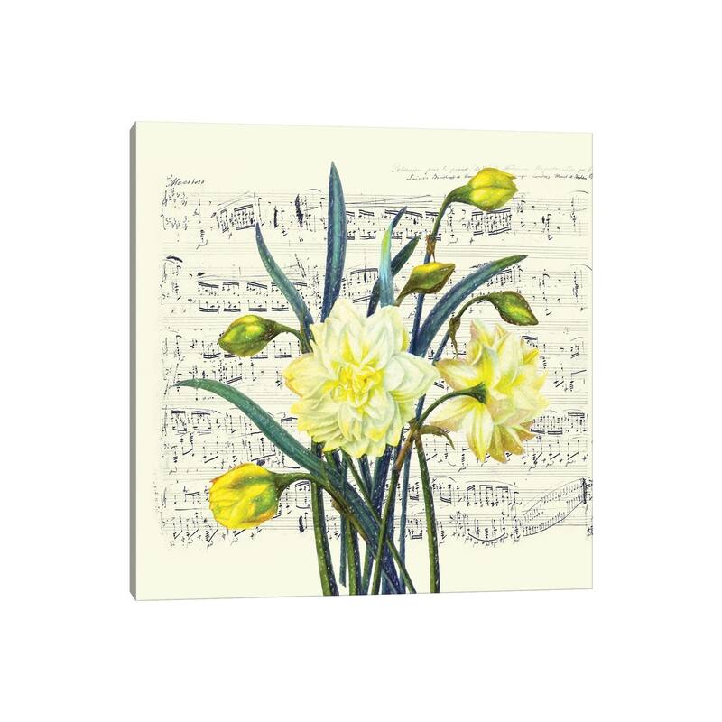 iCanvas "Daffodils Spring Music Shabby Chic" by Seven Sirens Studios Canvas Print