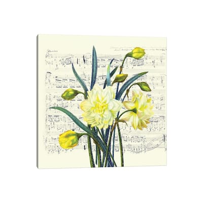 iCanvas "Daffodils Spring Music Shabby Chic" by Seven Sirens Studios Canvas Print