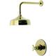 Option Polished Brass