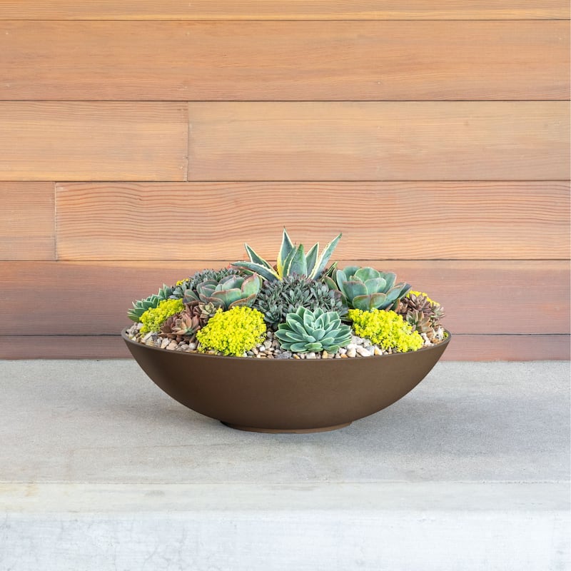 Veradek Pure Series Lane Bowl