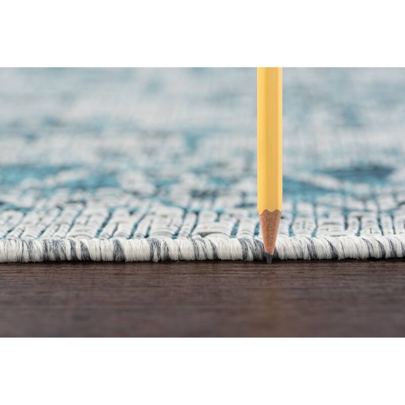 Colonnade Traditional Medallion Indoor/Outdoor Area Rug