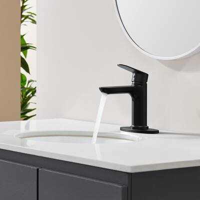 Modern Single Handle Bathroom Sink Faucet with Removable Aerator, Splash Proof, Anti Fingerprint, Anti Corrosion, Anti Rust